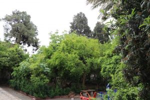 محیط حوزه علمیه منصوریه شیراز