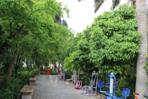 محیط حوزه علمیه منصوریه شیراز