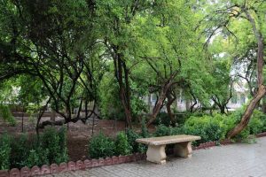 محیط حوزه علمیه منصوریه شیراز