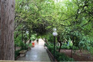 محیط حوزه علمیه منصوریه شیراز