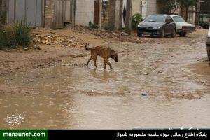 روستای گردخون